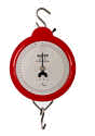 Zeiger-Hängewaage 235 - 10 X, geeicht Zeiger-Hängewaage 235 - 10 X, geeicht