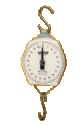 Zeigerschnellwaage Nr. 235-6S